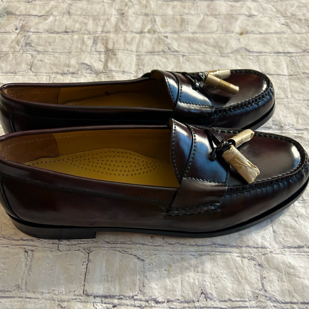 COLE HAAN CORDOVAN COLOR TASSEL SLIPON LOAFERS MENS SIZE 10 D (03507) X E13